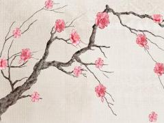 生精一般需要多久 生精需要幾天