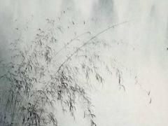 2024和2024年屬什么生肖 2024和2024年哪年生孩子好