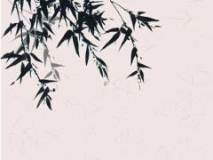 手掌有事業(yè)線的女人命運(yùn) 手心有事業(yè)線的人是會(huì)有事業(yè)的嗎