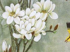 五行屬土的字,五行屬土的姓名常用字大全