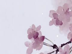 八字真的能算出人的命運嗎,2001年10月27號命格