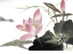 1996屬鼠男和屬鼠女婚配嗎,1996鼠男和1996鼠女相配嗎