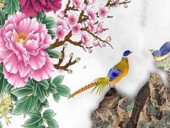 生辰八字觀星什么意思 觀星條件預測app