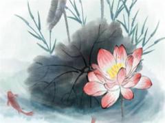 水兔年是哪些年份 屬相水兔是什么意思