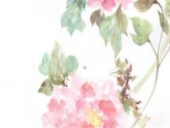 看八字結婚是什么意思 看八字算結婚的黃道吉日