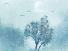 生成的八字造就的命 生成八字時候