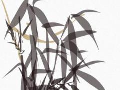 八字算命印旺為忌 印旺為忌如何化解