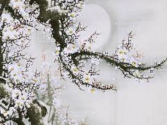 與女生聊天的開場白和結束語 跟女生聊天開場白臺詞大全