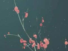 八字中的五種情感關(guān)系的命理顯現(xiàn)為 從八字看感情經(jīng)歷