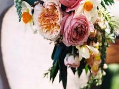 哪個星座女最難追