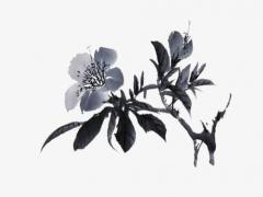 八字算命看配偶長相 八字看配偶長相測試