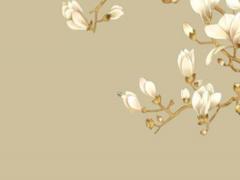 金牛座星盤查詢免費 2021金牛座星盤分析