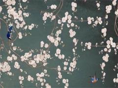 刻意保持距離越是喜歡 刻意保持距離是什么意思