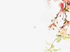 2024后九運最好生肖 2024后九運最好生肖麥玲玲