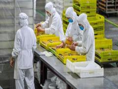 夢見和嫂子吵架是什么意思