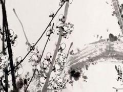 不知道八字怎么做法術(shù) 不知道八字怎么算命