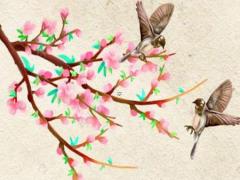 七點到八點是什么時辰,十二時辰與二十四小時如何一一對應