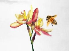 蘋果手機的八字天線 蘋果8p天線