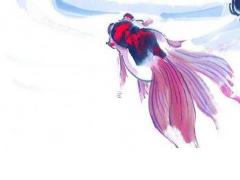 為2020年出生的鄧姓男孩起名技巧介紹 2020年鄧姓男寶寶取名