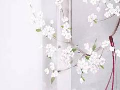 生辰八字中命主祿存是啥意思 命主祿存是什么意思