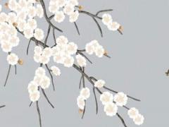 算命能算出哪一年有災嗎 算命能算幾年的