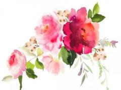 96年屬鼠的真正姻緣在哪,96年屬鼠人注定的婚姻2023年