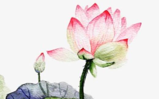 算命中介業是什么意思 中介專業詞 算命中介業是什么意思 中介專業詞