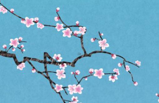 水養(yǎng)的發(fā)財(cái)樹葉子發(fā)黃了怎么辦 水種發(fā)財(cái)樹葉黃 水養(yǎng)的發(fā)財(cái)樹葉子發(fā)黃了怎么辦 水種發(fā)財(cái)樹葉黃