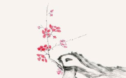 巴薩扎爾殺不殺,從莎爾神殿找回暗夜之歌 巴薩扎爾殺不殺,從莎爾神殿找回暗夜之歌