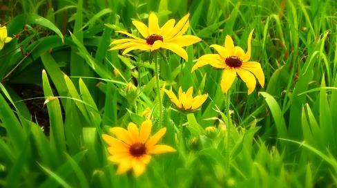 夢到車禍現場滿地尸塊 夢到車禍現場滿地尸塊