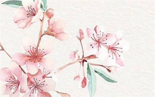 屬虎和屬兔的婚配表，屬虎和屬兔配對指數(shù)