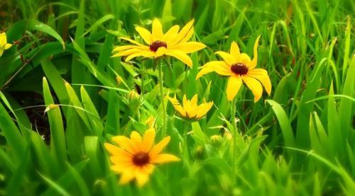 女人夢到數錢代表什么預兆 女人夢到數錢代表什么預兆