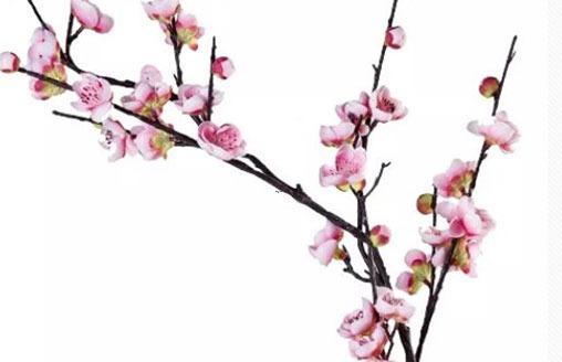 好聽好記的主播名字 好聽好記的主播名字