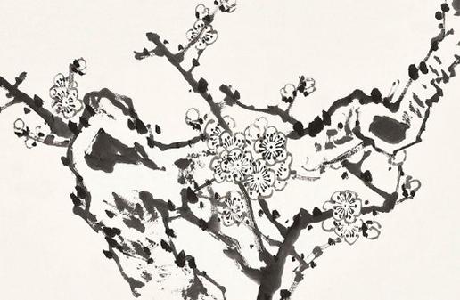 63年兔有二次婚姻嗎 63年屬兔60歲有一劫2023年