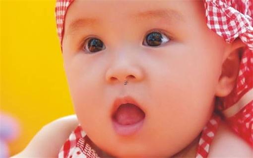 姓名學知識之中國姓氏的由來 我國姓氏的由來 姓名學知識之中國姓氏的由來 我國姓氏的由來