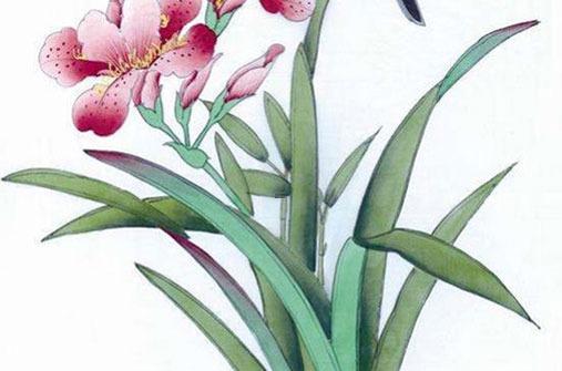 網(wǎng)上那些算卦的都準(zhǔn)不準(zhǔn) 網(wǎng)上一些算命的能信嗎? 網(wǎng)上那些算卦的都準(zhǔn)不準(zhǔn) 網(wǎng)上一些算命的能信嗎?