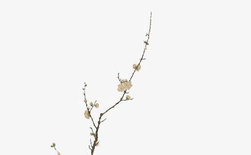 八字中的三星是什么意思 命帶三星