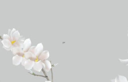 華蓋在月柱是什么意思，八字中最厲害的四大貴人