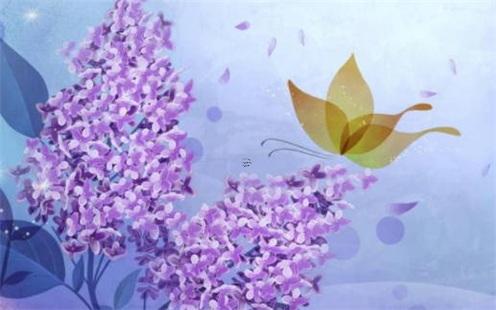 屬豬和什么屬相最合 屬豬和什么屬相合適