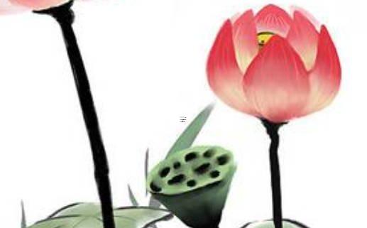 屬羊和屬猴的同財(cái)嗎 屬羊和屬猴財(cái)運(yùn)合不合