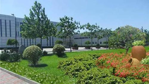 夢見好多狼是什么預(yù)兆 女性 夢見好多狼是什么預(yù)兆 女性