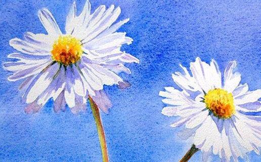 七律八字婚姻保衛戰進展 七律姻緣 七律八字婚姻保衛戰進展 七律姻緣