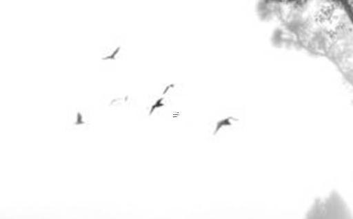 生日配對測試婚姻阿啟 生日配對婚姻免費 生日配對測試婚姻阿啟 生日配對婚姻免費