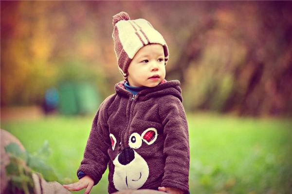 夢見很多白貓 夢見很多白貓