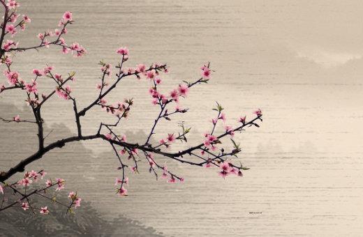 兩條感情線代表什么 雙重感情線是什么樣的 兩條感情線代表什么 雙重感情線是什么樣的