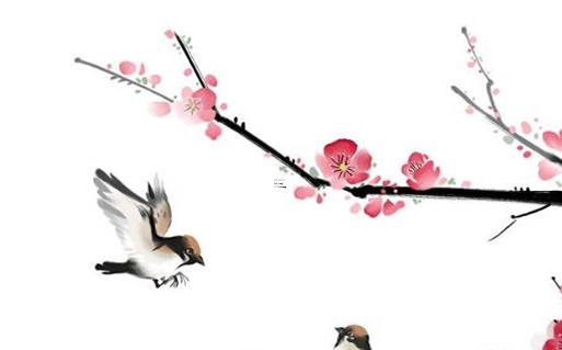 2024年流年走9的運(yùn)勢 2024年流年飛星圖解