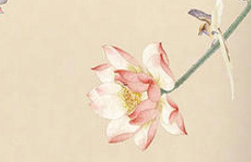 77年的蛇命運與婚姻怎么樣 77年屬蛇人命中注定的另一半