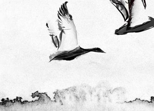 女子可嫁貴夫啥意思 可嫁貴夫什么意思