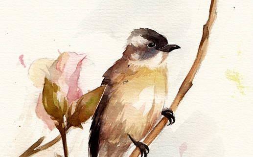 怎么看人的一生有幾次婚姻 怎么看一生有幾段感情 怎么看人的一生有幾次婚姻 怎么看一生有幾段感情