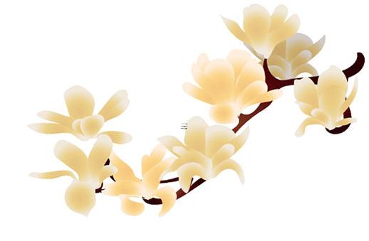 八字穩(wěn)是什么意思 算命說的穩(wěn)定是什么意思